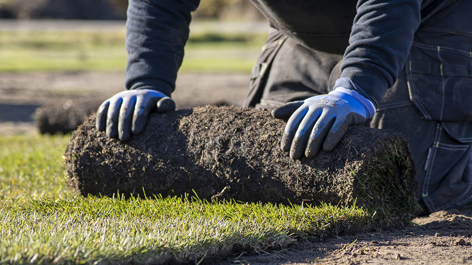 Grasmatten geplaatst door Expert Roothoofd, tuinaanleg